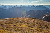 Distant View Of Male Backpacker In North Cascades National Park