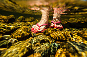 Underwater View Of Woman Leg Wearing Pink Flip Flop On Stones