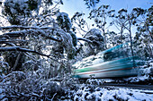 Bus Travelling Through The Snowy Trees In Lake Saint Clair National Park, Tasmania