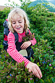 A Smiling Girl Picking Low Bush Blueberries Along The Appalachian Trail