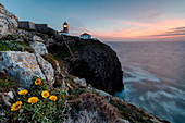 Pink sky at sunset and yellow flowers frame the lighthouse, Cabo De Sao Vicente, Sagres, Algarve, Portugal, Europe