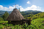 Traditional house in the mountains, Maubisse, East Timor, Southeast Asia, Asia