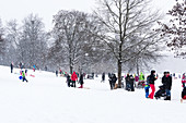 Schlittenfahren im Schneefall, Monopteros, Englischer Garten, München, Deutschland