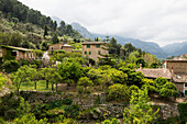 Mountain village with citrus plantations, Fornalutx, Serra de Tramuntana, Majorca, Balearic Islands, Spain