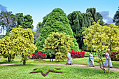 Flower garden in Peradeniya Botanic Gardens, Kandy, Sri Lanka, Asia