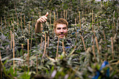 Denver, Colorado- Head Grower, Jonathan Nelson gives a thumbs up amidst his medical marijuana ready for harvest in the Rx Green Solutions research and dynamics grow facility.