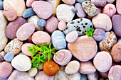 High Angle View Of Stones On The Coast Of Marjal Del Moro