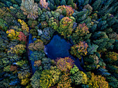 Aerial View Of The Forest During Autumn In Shades Of Red And Gold Surrounding A Small Lake