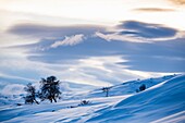 Scenic View Of Norwegian Winter Landscape In Dovrefjell, Norway