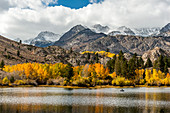Scenic View Of Eastern Sierra Fall Color In California, Usa