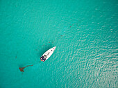 A Sailboat Rest In The Clear Waters Off The Coast Of The British Virgin Islands