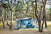 View Of A Nested Tent In The Forest