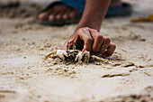 Asian Boy Is Holding A Crab In Philippines, Palawan El Nido