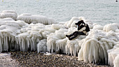 Person Taking Photograph Sitting On Top Of Ice In Lake Geneva Shoreline
