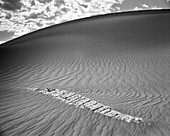 Hard Stone Exposed By The Winds In The Mesquite Flat Dunes