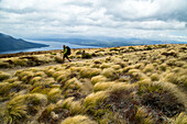 Hiking Along The Kepler Track, Fiordland National Park, New Zealand