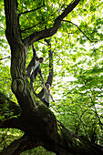 Mature man offers assistanec across tree limb, foliage