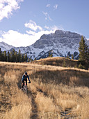 Mountain biker descends grassy meadow road in mountains