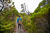 Hiking The Bog Trail In Pacific Rim National Park, British Columbia