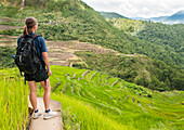 Woman Exploring Maligcong Rice Terrace In Luzon, Philippines