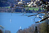 Blick vom Höhenweg, Ostufer Tegernsee, Oberbayern, Bayern, Deutschland