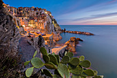 Manarola, Cinque Terre, Provinz La Spezia, Ligurien, Italien, Europa