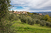 Village of Vagliagli from olive grove,  Vagliagli, Castelnuovo Berardenga, Chianti, Siena province, Tuscany, Italy, Europe