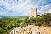 Panoramablick auf den Maremma-Park vom Castelmarino-Turm, Castelmarino-Turm, Torre di Castelmarino, Alberese, Maremma-Park, Parco della Maremma, Grosseto, Provinz Grosseto, Toskana, Italien, Europa