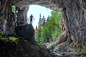 Europe, Italy, Friuli Venezia Giulia, Claut, province of Pordenone,  The Landre Scur cave in the forest of Lesis
