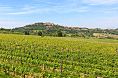 Italy, Tuscany, the village of Montepulciano on the hills tuscany, provence of Siena