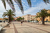 The promenade framed by palm trees Caprera, La Maddalena Island Sardinia Italy Europe