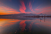 Sunset on Lake Alserio, Como province, Brianza, Lombardy, Italy, Europe