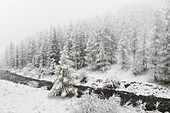 Chisone Valley , Valle Chisone, Turin province, Piedmont, Italy, Europe, Blizzard landscapes into Piedmont mountains