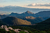 Villacidro's mountains, Villacidro, Medio Campidano province, sardinia, italy, europe