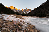 Europe, Italy, Trentino, Val Venegia, Winter sunset in the naturpark of Paneveggio - Pale di San Martino, Dolomites