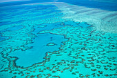 Great Barrier Reef from above, Queensland, Australia, Heart reef
