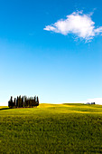 Val d'orcia, San Quirico d'Orcia village, Siena district, Tuscany, Italy