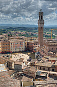 Piazza del Campo und Torre del Mangia, Siena, Italien