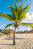 Bavaro Beach, Bavaro, Higuey, Punta Cana, Dominikanische Republik