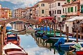 Chioggia, Boote vor Anker in den Kanal und den lokalen Markt auf dem Weg, Veneto, Venedig, Italien
