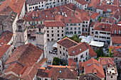 Die Dächer von Kotor und die Glockentürme der Kathedrale von Saint Tryphon, Blick von der Festung, Montenegro