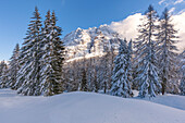 Europe, Italy, Veneto, Belluno, San Sebastiano mountain in winter, municipality of La Valle Agordina, Dolomites