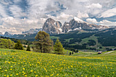 Seiser Alm, Seiser Alm, Dolomiten, Südtirol, Italien, Sonnenuntergang auf der Seiser Alm, Seiser Alm