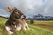 Seiser Alm, Seiser Alm, Dolomiten, Südtirol, Italien, Sonnenuntergang auf der Seiser Alm, Seiser Alm