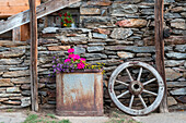 Senales, Schnalstal, Bolzano province, South Tyrol, Italy