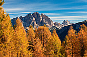 Dolomites, Cristallo mountain, Veneto, Italy