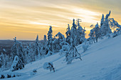 The arctic sunrise lights up the snowy woods shrouded in morning mist Ruka Kuusamo Ostrobothnia region Lapland Finland Europe