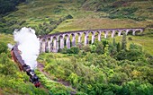 Glenfinnan-Viadukt und der Jacobite-Dampfzug, Glenfinnan, Highlands, Schottland