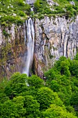 Parque natural de los Collados del Ason Cantabria, Northern Spain