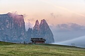 Alpe di Siusi Seiser Alm, Dolomites, South Tyrol, Italy Autumn sunrise on the Alpe di Siusi Seiser Alm In the background the peaks of Sciliar Schlern